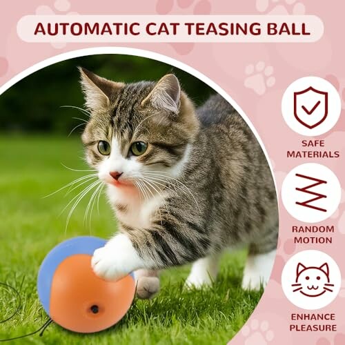 Cat playing with an automatic teasing ball on grass.