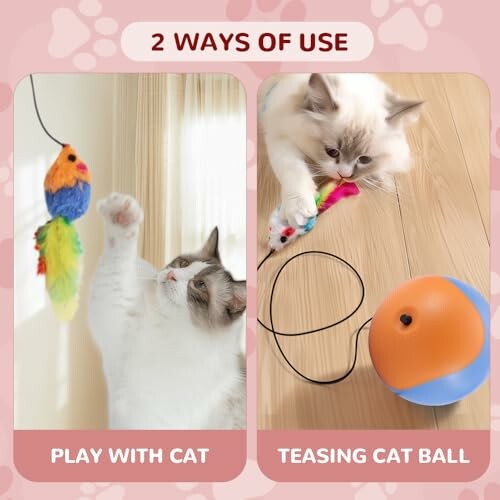 Interactive Cat Ball Toy