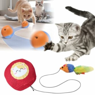 Cats playing with interactive toys, including a rolling ball and a feathered mouse.