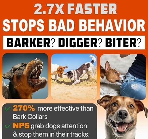 Ad promoting dog behavior correction, highlighting effectiveness over bark collars.